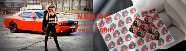 таблы Гусев