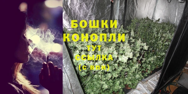 таблы Гусев