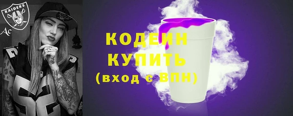таблы Гусев